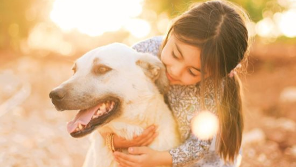 From Gut to Health: How Probiotics, Prebiotics, and Postbiotics Support Your Pet's Well-Being